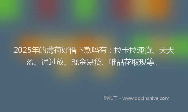 2025年的薄荷好借下款吗有：拉卡拉速贷、天天盈、通过放、现金易贷、唯品花取现等。