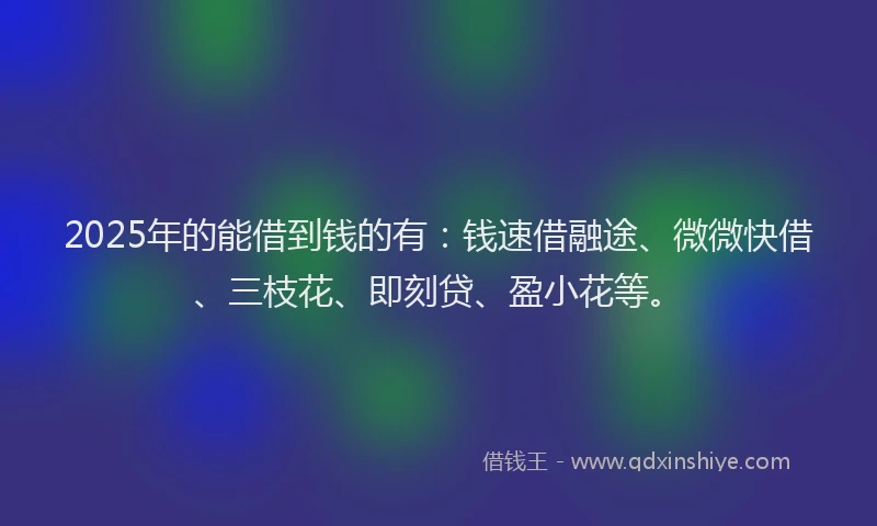 2025年的能借到钱的有：钱速借融途、微微快借、三枝花、即刻贷、盈小花等。