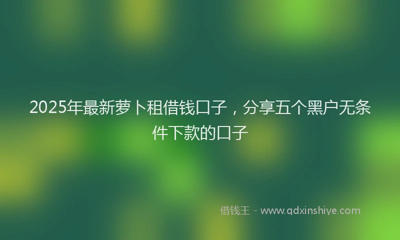 2025年最新萝卜租借钱口子，分享五个黑户无条件下款的口子