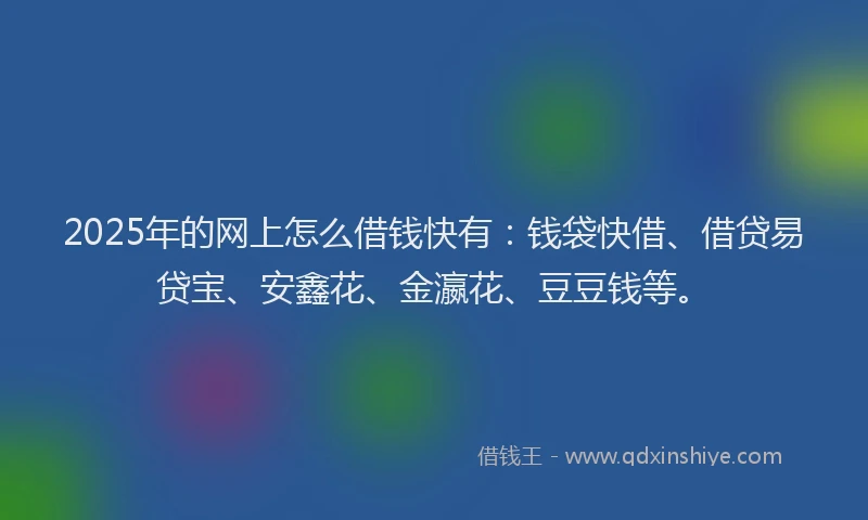 2025年的网上怎么借钱快有:钱袋快借、借贷易贷宝、安鑫花、金瀛花、豆豆钱等。