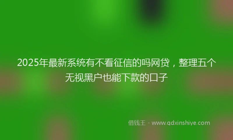 2025年最新系统有不看征信的吗网贷，整理五个无视黑户也能下款的口子