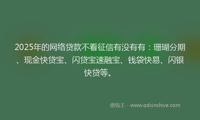 2025年的网络贷款不看征信有没有有：珊瑚分期、现金快贷宝、闪贷宝速融宝、钱袋快易、闪银快贷等。