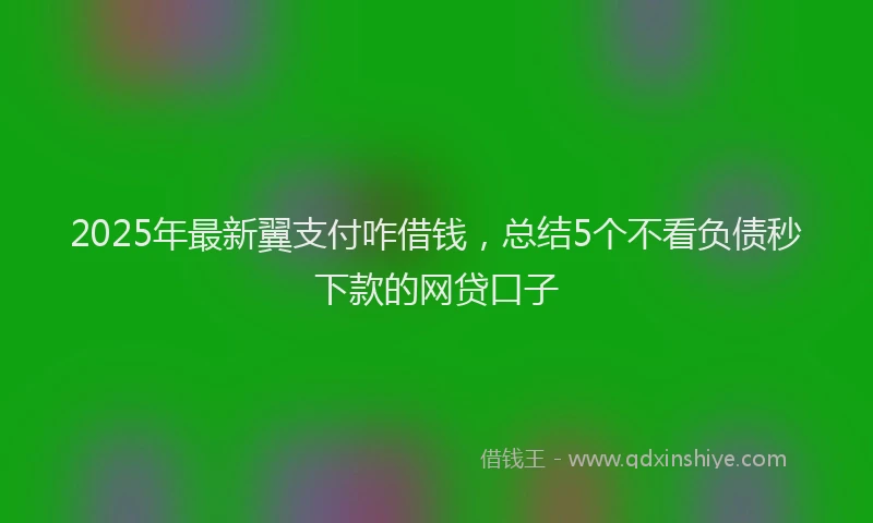 2025年最新翼支付咋借钱，总结5个不看负债秒下款的网贷口子