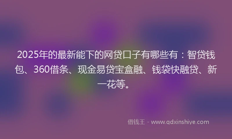2025年的最新能下的网贷口子有哪些有：智贷钱包、360借条、现金易贷宝盒融、钱袋快融贷、新一花等。