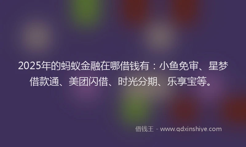 2025年的蚂蚁金融在哪借钱有：小鱼免审、星梦借款通、美团闪借、时光分期、乐享宝等。