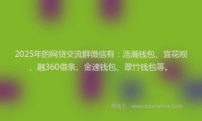 2025年的网贷交流群微信有：浩瀚钱包、宜花呗、融360借条、金速钱包、翠竹钱包等。