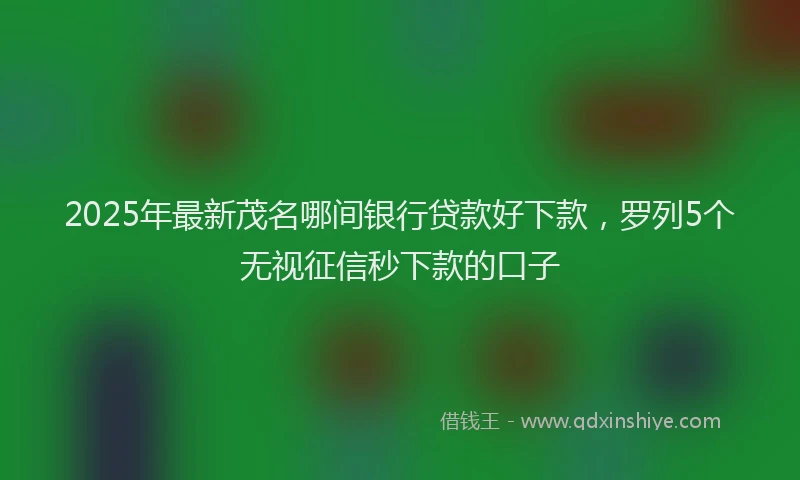 2025年最新茂名哪间银行贷款好下款，罗列5个无视征信秒下款的口子
