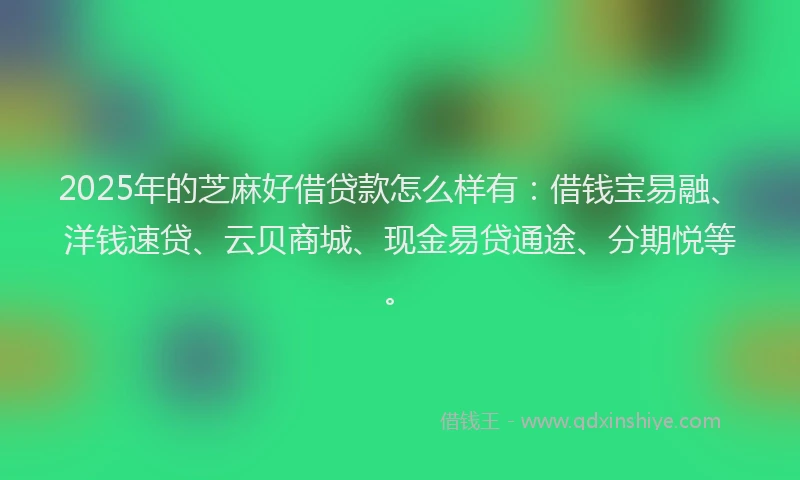 2025年的芝麻好借贷款怎么样有：借钱宝易融、洋钱速贷、云贝商城、现金易贷通途、分期悦等。