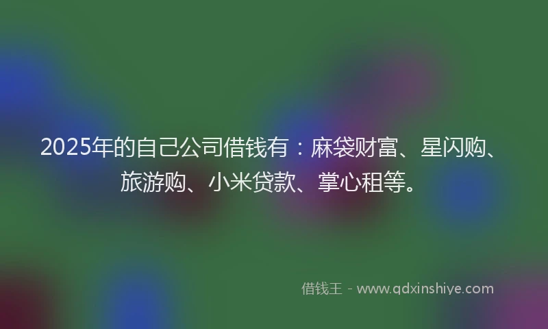 2025年的自己公司借钱有：麻袋财富、星闪购、旅游购、小米贷款、掌心租等。
