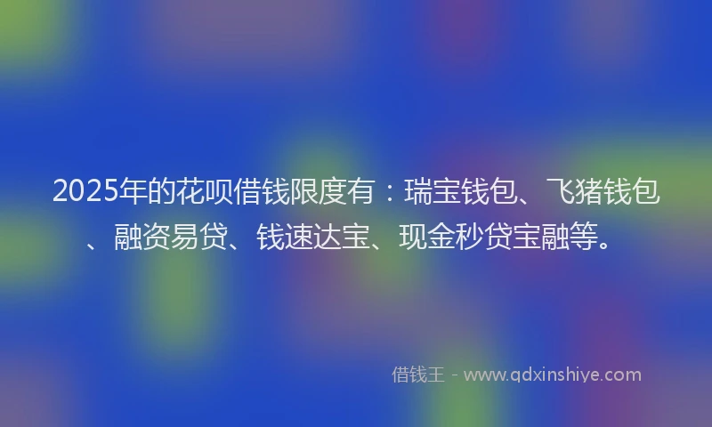 2025年的花呗借钱限度有：瑞宝钱包、飞猪钱包、融资易贷、钱速达宝、现金秒贷宝融等。