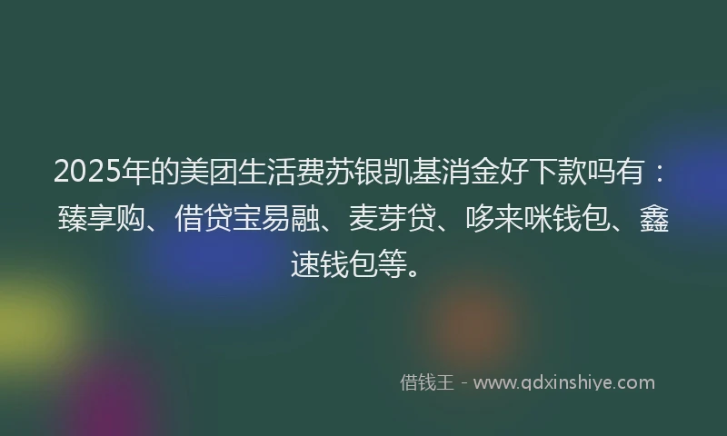 2025年的美团生活费苏银凯基消金好下款吗有：臻享购、借贷宝易融、麦芽贷、哆来咪钱包、鑫速钱包等。