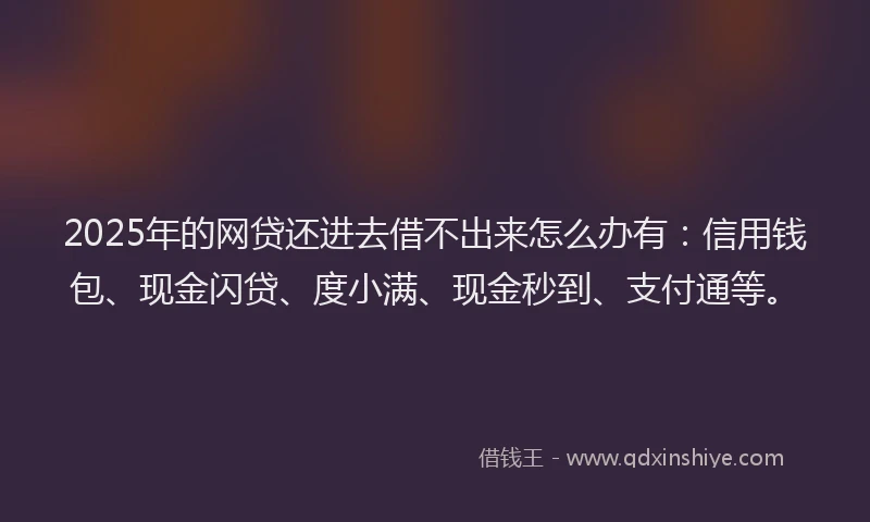 2025年的网贷还进去借不出来怎么办有：信用钱包、现金闪贷、度小满、现金秒到、支付通等。