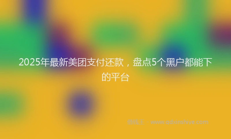 2025年最新美团支付还款，盘点5个黑户都能下的平台