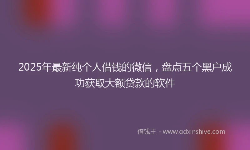 2025年最新纯个人借钱的微信，盘点五个黑户成功获取大额贷款的软件