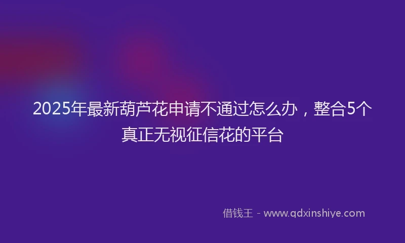 2025年最新葫芦花申请不通过怎么办，整合5个真正无视征信花的平台