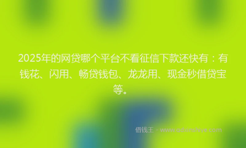 2025年的网贷哪个平台不看征信下款还快有：有钱花、闪用、畅贷钱包、龙龙用、现金秒借贷宝等。