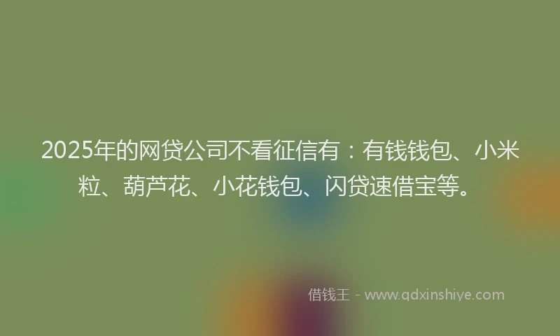 2025年的网贷公司不看征信有：有钱钱包、小米粒、葫芦花、小花钱包、闪贷速借宝等。