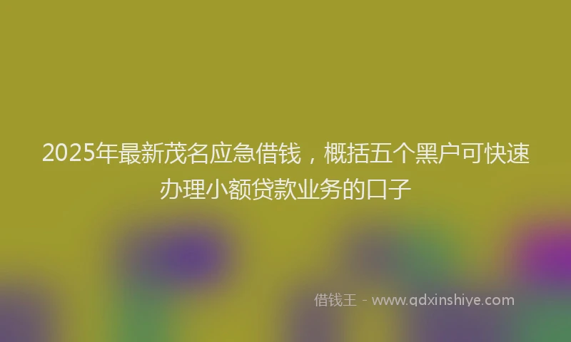 2025年最新茂名应急借钱，概括五个黑户可快速办理小额贷款业务的口子