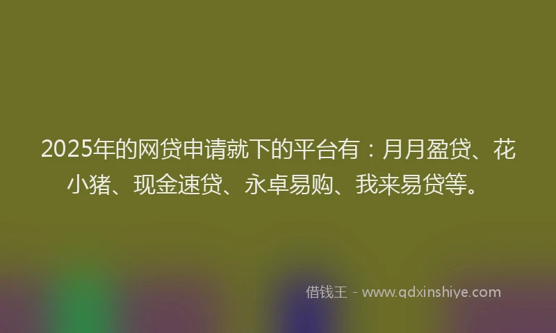2025年的网贷申请就下的平台有：月月盈贷、花小猪、现金速贷、永卓易购、我来易贷等。