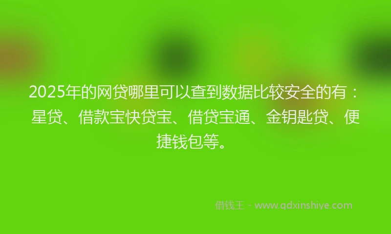 2025年的网贷哪里可以查到数据比较安全的有：星贷、借款宝快贷宝、借贷宝通、金钥匙贷、便捷钱包等。