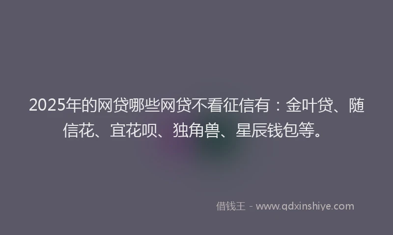 2025年的网贷哪些网贷不看征信有：金叶贷、随信花、宜花呗、独角兽、星辰钱包等。
