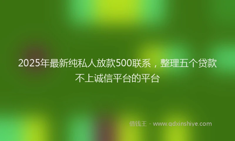2025年最新纯私人放款500联系，整理五个贷款不上诚信平台的平台
