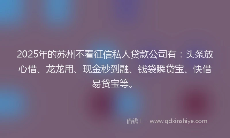 2025年的苏州不看征信私人贷款公司有：头条放心借、龙龙用、现金秒到融、钱袋瞬贷宝、快借易贷宝等。