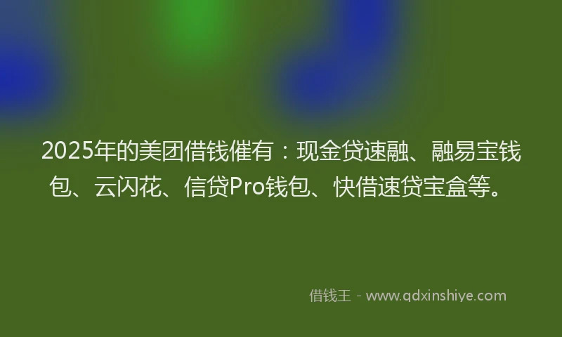 2025年的美团借钱催有：现金贷速融、融易宝钱包、云闪花、信贷Pro钱包、快借速贷宝盒等。