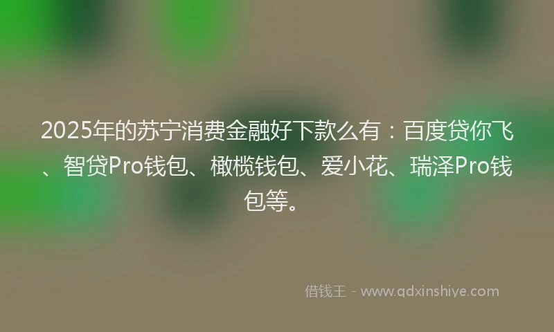 2025年的苏宁消费金融好下款么有：百度贷你飞、智贷Pro钱包、橄榄钱包、爱小花、瑞泽Pro钱包等。