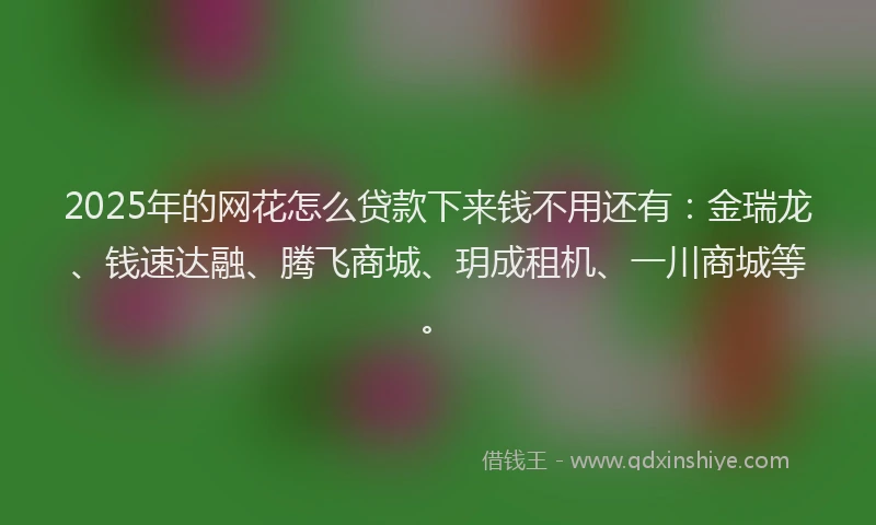 2025年的网花怎么贷款下来钱不用还有：金瑞龙、钱速达融、腾飞商城、玥成租机、一川商城等。