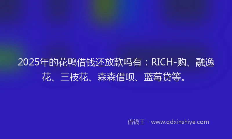 2025年的花鸭借钱还放款吗有：RICH-购、融逸花、三枝花、森森借呗、蓝莓贷等。