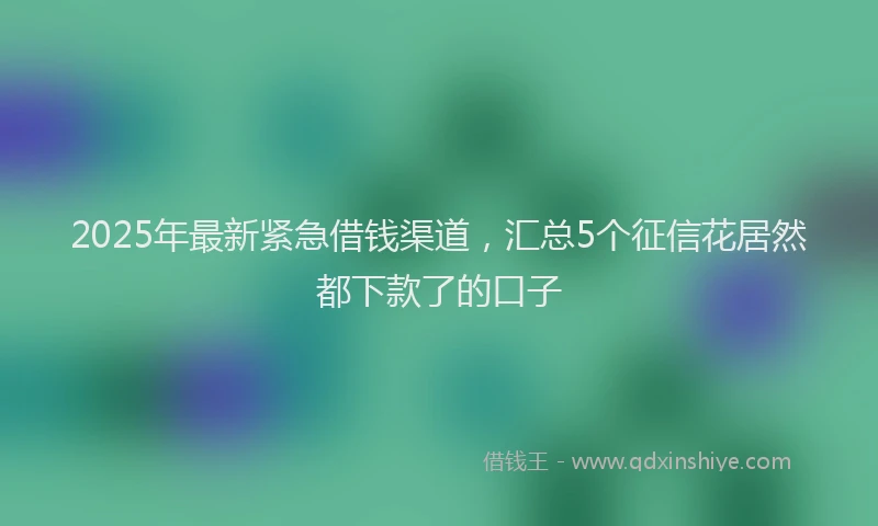 2025年最新紧急借钱渠道，汇总5个征信花居然都下款了的口子
