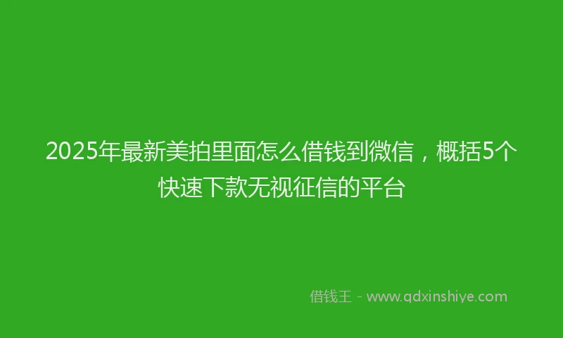 2025年最新美拍里面怎么借钱到微信，概括5个快速下款无视征信的平台