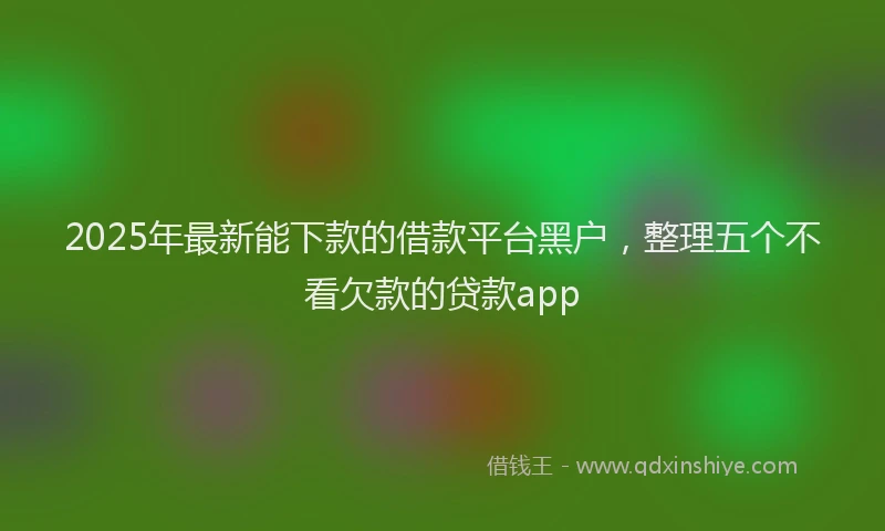 2025年最新能下款的借款平台黑户，整理五个不看欠款的贷款app
