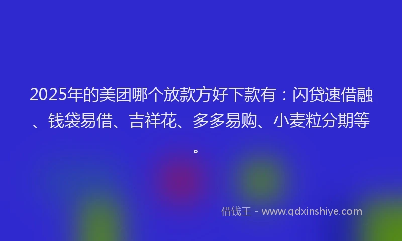2025年的美团哪个放款方好下款有：闪贷速借融、钱袋易借、吉祥花、多多易购、小麦粒分期等。