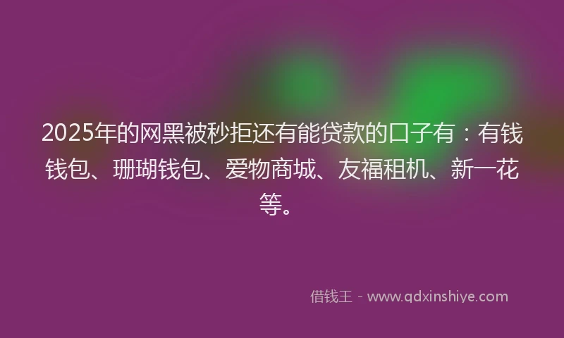2025年的网黑被秒拒还有能贷款的口子有：有钱钱包、珊瑚钱包、爱物商城、友福租机、新一花等。