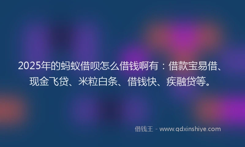 2025年的蚂蚁借呗怎么借钱啊有：借款宝易借、现金飞贷、米粒白条、借钱快、疾融贷等。