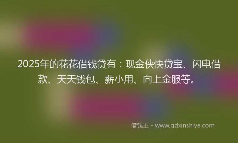 2025年的花花借钱贷有：现金侠快贷宝、闪电借款、天天钱包、薪小用、向上金服等。