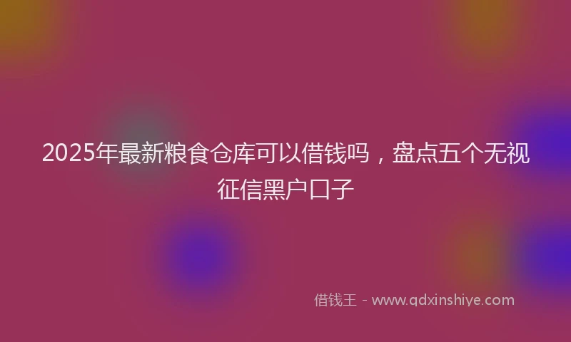 2025年最新粮食仓库可以借钱吗，盘点五个无视征信黑户口子