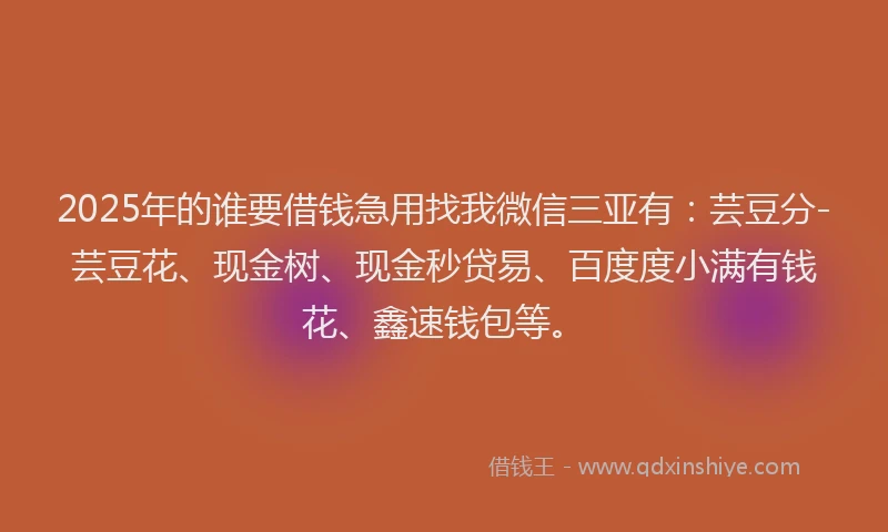 2025年的谁要借钱急用找我微信三亚有：芸豆分-芸豆花、现金树、现金秒贷易、百度度小满有钱花、鑫速钱包等。