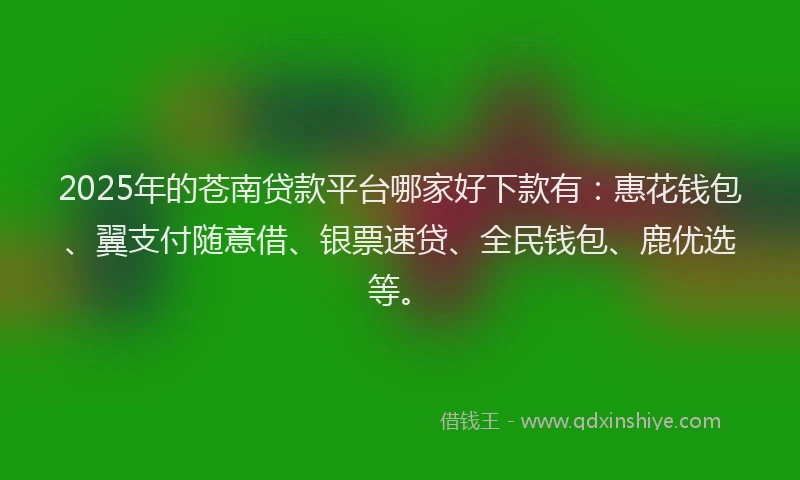 2025年的苍南贷款平台哪家好下款有：惠花钱包、翼支付随意借、银票速贷、全民钱包、鹿优选等。