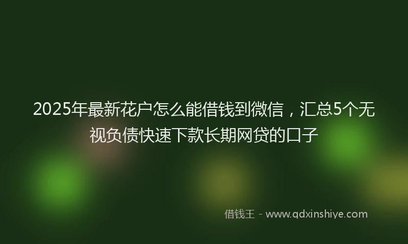 2025年最新花户怎么能借钱到微信，汇总5个无视负债快速下款长期网贷的口子