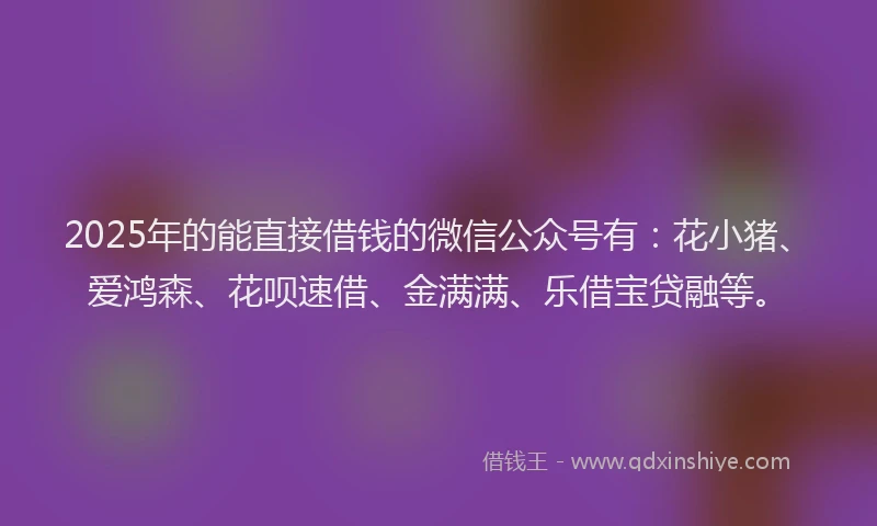 2025年的能直接借钱的微信公众号有：花小猪、爱鸿森、花呗速借、金满满、乐借宝贷融等。
