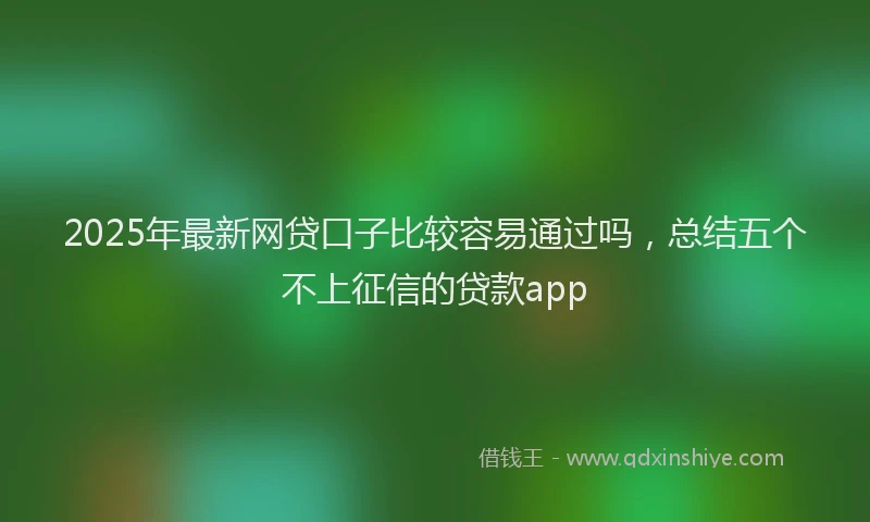 2025年最新网贷口子比较容易通过吗，总结五个不上征信的贷款app
