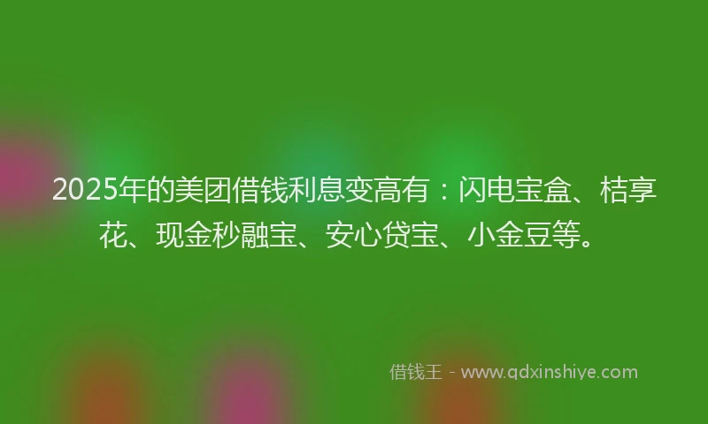 2025年的美团借钱利息变高有：闪电宝盒、桔享花、现金秒融宝、安心贷宝、小金豆等。