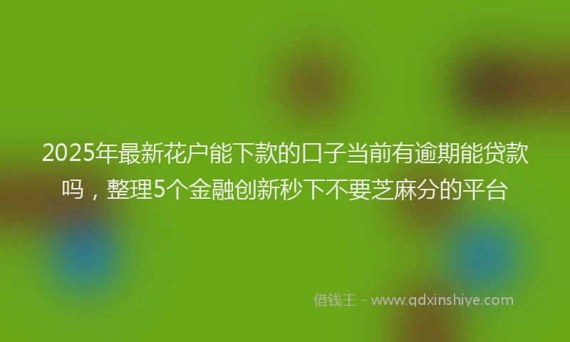 2025年最新花户能下款的口子当前有逾期能贷款吗，整理5个金融创新秒下不要芝麻分的平台