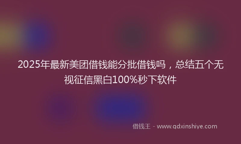 2025年最新美团借钱能分批借钱吗，总结五个无视征信黑白100%秒下软件