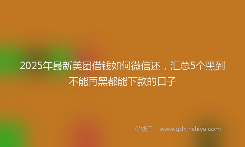 2025年最新美团借钱如何微信还，汇总5个黑到不能再黑都能下款的口子