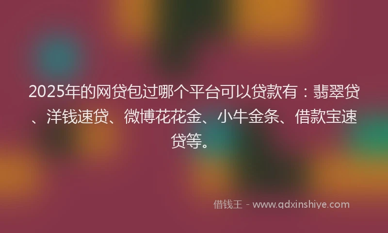 2025年的网贷包过哪个平台可以贷款有：翡翠贷、洋钱速贷、微博花花金、小牛金条、借款宝速贷等。