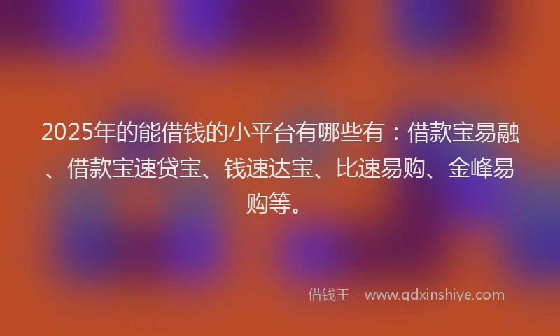 2025年的能借钱的小平台有哪些有：借款宝易融、借款宝速贷宝、钱速达宝、比速易购、金峰易购等。